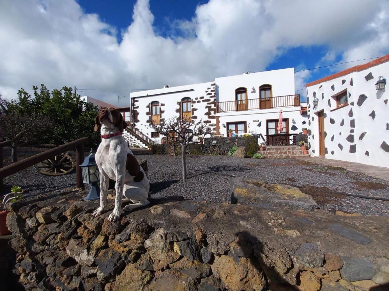 Las Casas Del Abuelito Julian & La Abuela Leonor Isora Exteriör bild